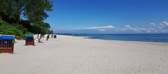  قطعة أرض في Ostholstein, Germany رقم 84988 11