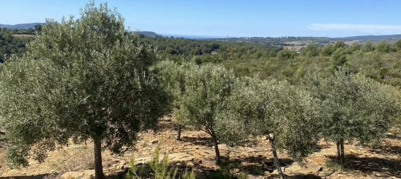 Propriété commerciale à Bandol, France No. 813 3