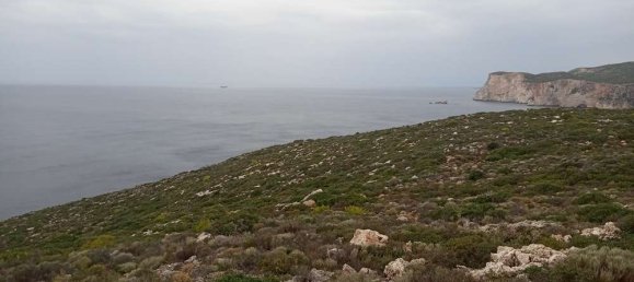 Terra em Zakynthos, Greece N.º 859 17