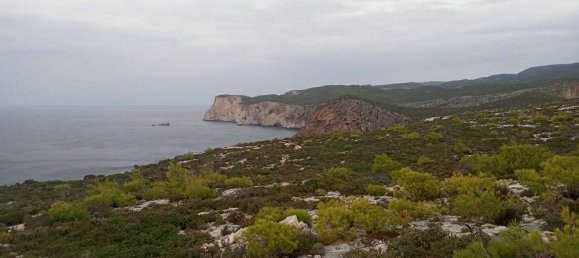 Terra em Zakynthos, Greece N.º 859 23