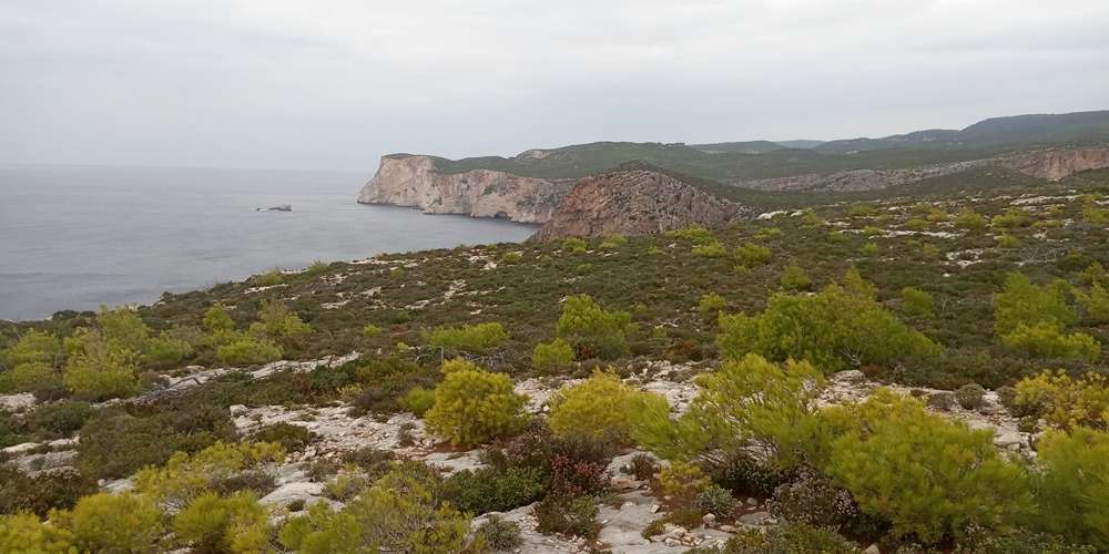 Terra em Zakynthos, Greece N.º 859