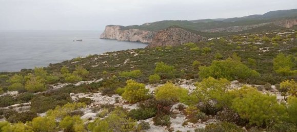 Terra em Zakynthos, Greece N.º 859 4