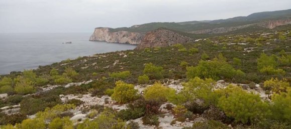 Terra em Zakynthos, Greece N.º 859 20