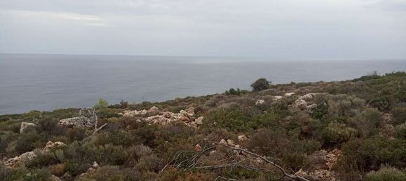 Terra em Zakynthos, Greece N.º 859 3