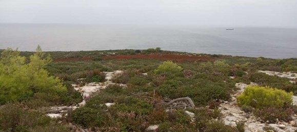 Terra em Zakynthos, Greece N.º 859 21