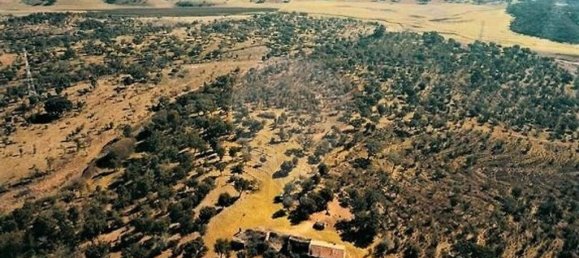 4 غرف نوم قطعة أرض في Santiago do Cacem, Portugal رقم 119038 4