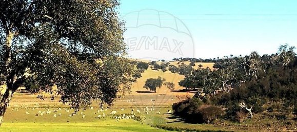 4 غرف نوم قطعة أرض في Santiago do Cacem, Portugal رقم 119038 6