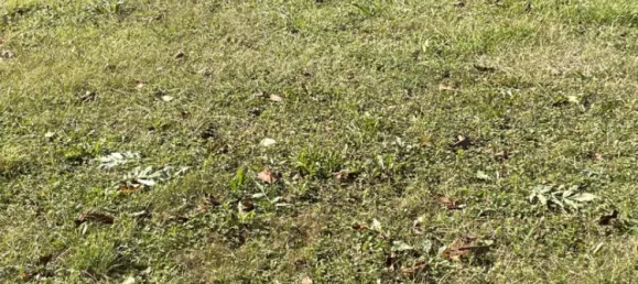 Grundstück in Paudorf, Austria 688m², Nr. 97151 5