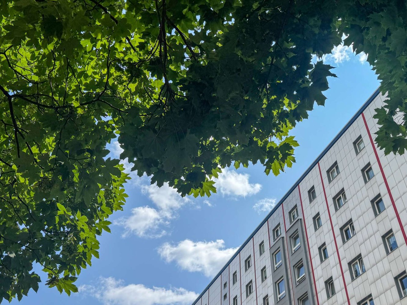 2 غرف نوم شقة في Friedrichshain, Germany رقم 268391