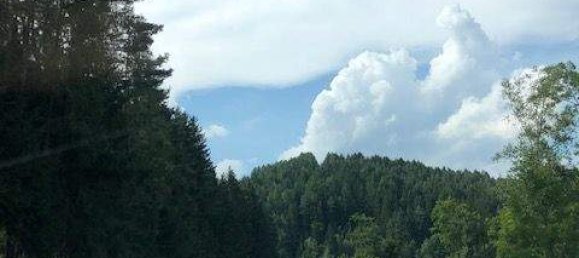 6 rooms Villa in Aspang-Markt, Austria No. 56663 44