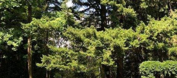 6 rooms Villa in Aspang-Markt, Austria No. 56663 15