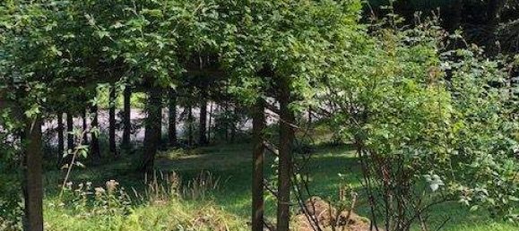 6 rooms Villa in Aspang-Markt, Austria No. 56663 10