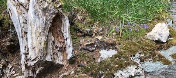 6 rooms Villa in Aspang-Markt, Austria No. 56663 12