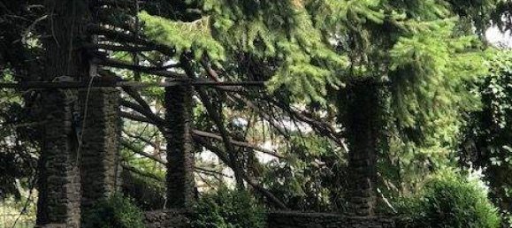 6 rooms Villa in Aspang-Markt, Austria No. 56663 16