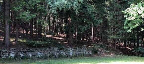 6 rooms Villa in Aspang-Markt, Austria No. 56663 17