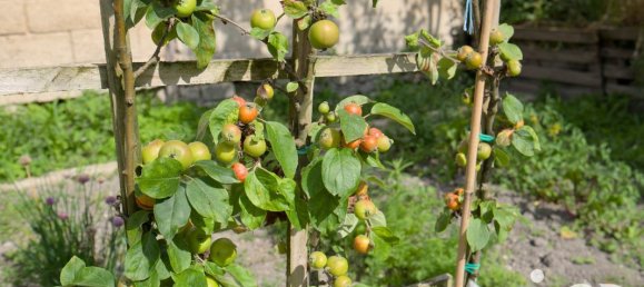 Casa de 3 dormitorios en Reims, France No. 266106 19