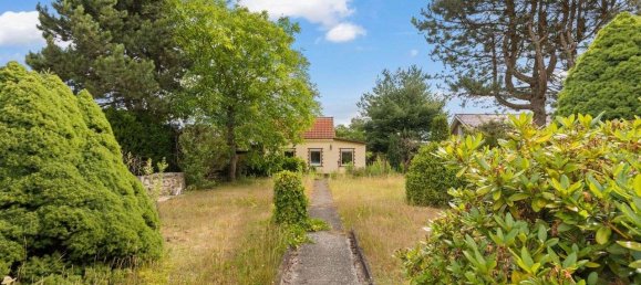 Terrain à Barnim, Germany No. 73075 8