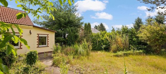 Terrain à Barnim, Germany No. 73075 9