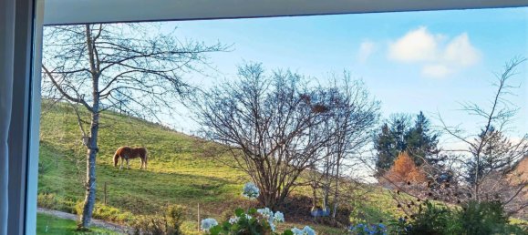 Apartamento de 2 dormitorios en Breisgau-Hochschwarzwald, Germany No. 293665 9