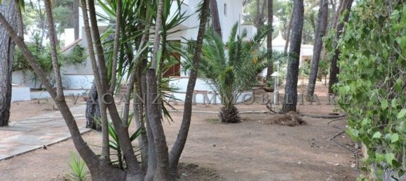 3-salle Villa à Castellaneta, Italy No. 283063 29