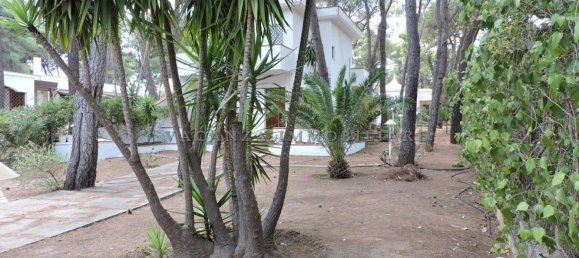 3-salle Villa à Castellaneta, Italy No. 283063 27