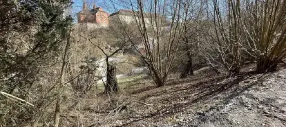 Terreno em Cham, Germany N.º 193142 6