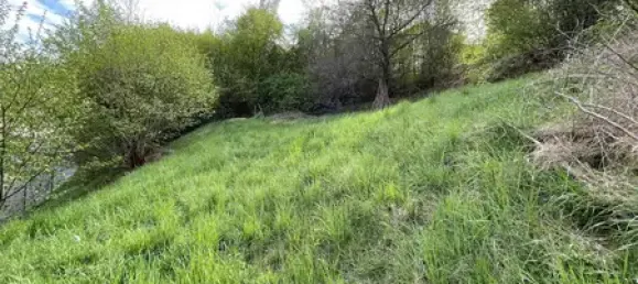 Terreno em Cham, Germany N.º 193142 5