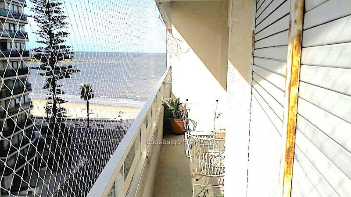 2 Schlafzimmer Wohnung in Montevideo, Uruguay, Nr. 9814