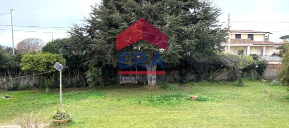 5 Schlafzimmer Villa in Nettuno, Italy, Nr. 8815 4