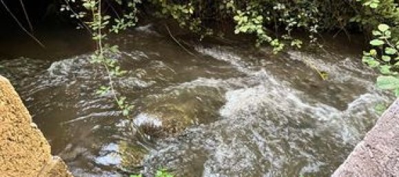 2 chambres Maison à Cuise-la-Motte, France No. 304084 7