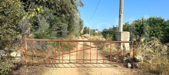 5غرفة فيلا في Noto, Italy رقم 379787 5