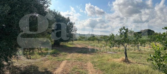 5غرفة فيلا في Noto, Italy رقم 379787 21