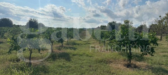 5غرفة فيلا في Noto, Italy رقم 379787 25