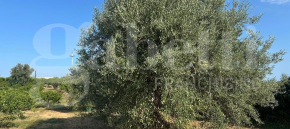 5غرفة فيلا في Noto, Italy رقم 379787 27