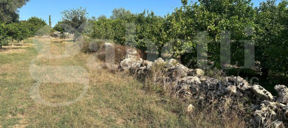 5غرفة فيلا في Noto, Italy رقم 379787 22