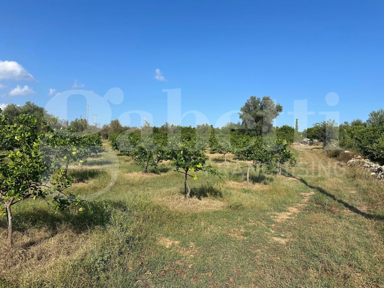 5غرفة فيلا في Noto, Italy رقم 379787