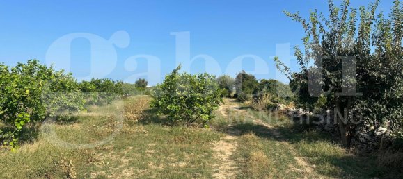 5غرفة فيلا في Noto, Italy رقم 379787 23