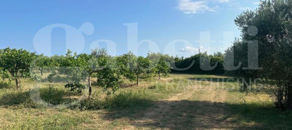 5غرفة فيلا في Noto, Italy رقم 379787 9