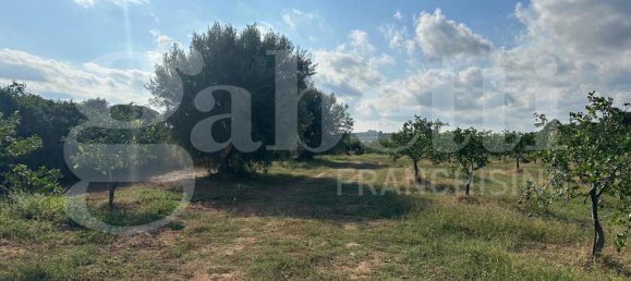 5غرفة فيلا في Noto, Italy رقم 379787 26