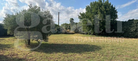 5غرفة فيلا في Noto, Italy رقم 379787 7