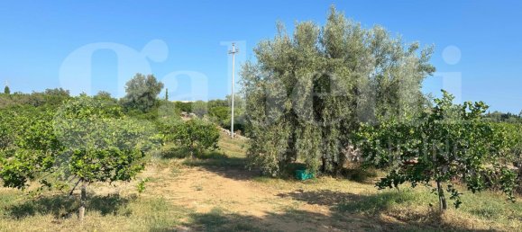 5غرفة فيلا في Noto, Italy رقم 379787 20