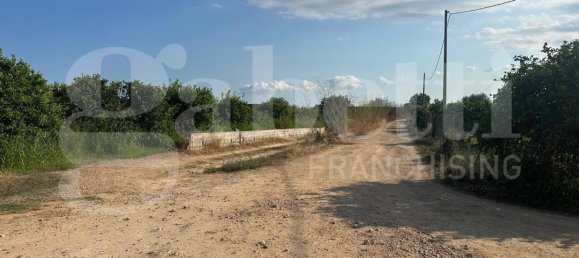 5غرفة فيلا في Noto, Italy رقم 379787 28