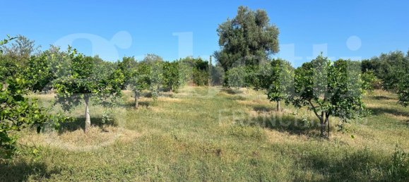 5غرفة فيلا في Noto, Italy رقم 379787 19