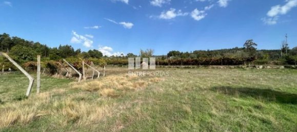 17350m² Land in Soalhaes, Portugal No. 49763 3