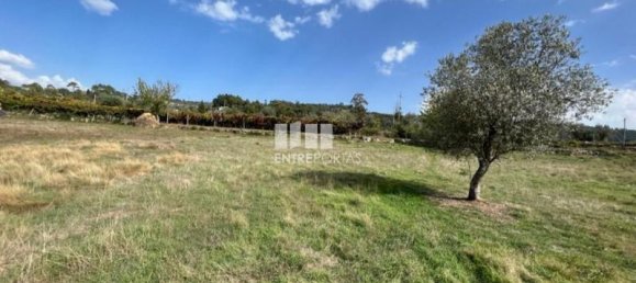 17350m² Land in Soalhaes, Portugal No. 49763 4