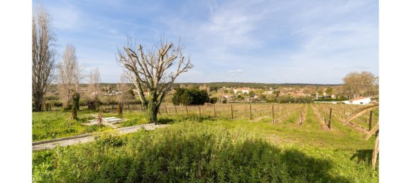 14 Schlafzimmer Schlösser in Colares, Portugal, Nr. 144649 26