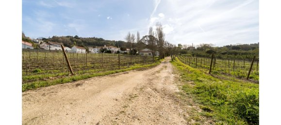 14 Schlafzimmer Schlösser in Colares, Portugal, Nr. 144649 27