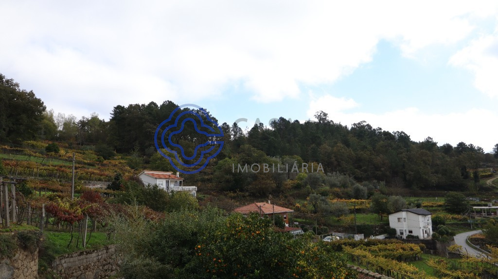 38890m² Land in Santa Marinha do Zezere, Portugal No. 36216