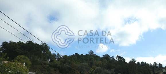 38890m² Land in Santa Marinha do Zezere, Portugal No. 36216 2