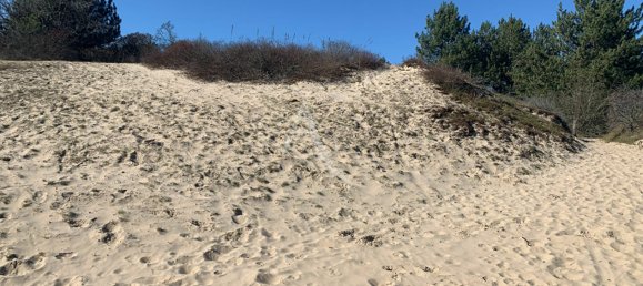 عقار تجاري في Cucq, France 248متر مربع رقم 69199 3